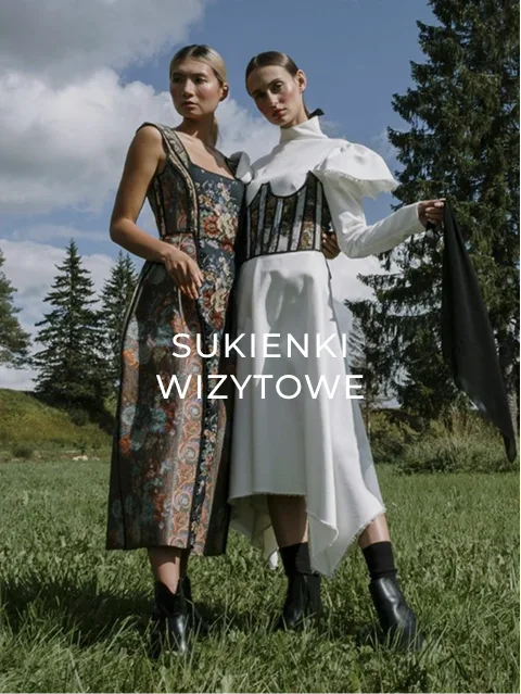 occasion-dresses.png